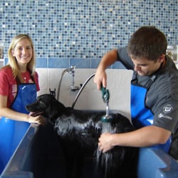 Lucky Dog Wash & Grooming - Our water is controlled to the perfect temperature, not too hot and not too cold so your dog enjoys a nice, warm bath