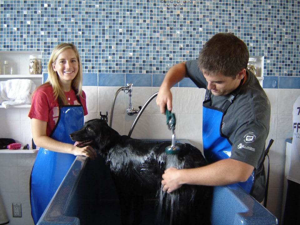 Lucky Dog Wash & Grooming Image