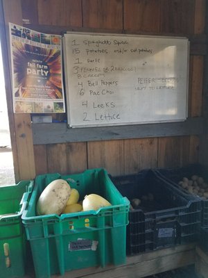 Rock Steady Farm by null