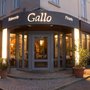 Photo of Gallo