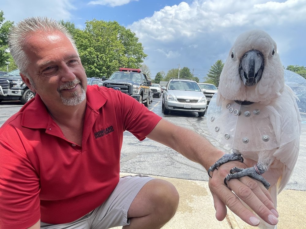 ROWLAND STREET GARAGE 11 Reviews 325 Rowland St, Ballston Spa, NY