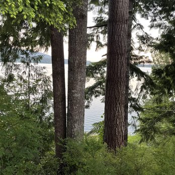 Lochaerie Resort - View from screened in porch - Hotels Near Me - Amanda Park, Washington Lochaerie Resort - View from screened in porch - Hotels Near Me - Amanda Park, Washington