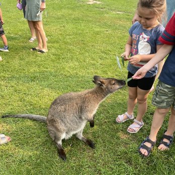 Kangaroo Creek Farm - Zoos Near Me - Kelowna, British Columbia Kangaroo Creek Farm - Zoos Near Me - Kelowna, British Columbia