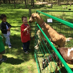 St Francis Creche Preschool - A visit from the Petting Zoo!