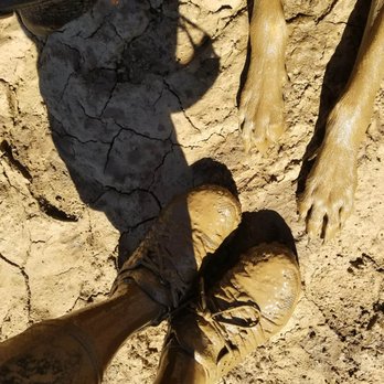 Rad Dogs Mud Run - Races & Competitions Near Me Rad Dogs Mud Run - Races & Competitions Near Me