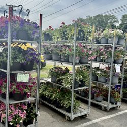 Family Roots Produce Market