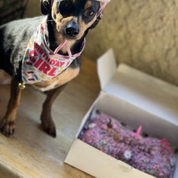 Excited to eat the cake