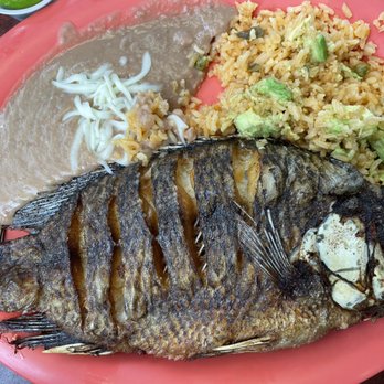 Taqueria El Guero - Tacos Near Me - Smyrna, Georgia