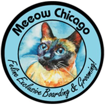 Meeow Chicago - Lincoln Park - Pet Groomers Near Me - Chicago, Illinois Meeow Chicago - Lincoln Park - Pet Groomers Near Me - Chicago, Illinois