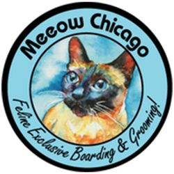 Meeow Chicago - Lincoln Park