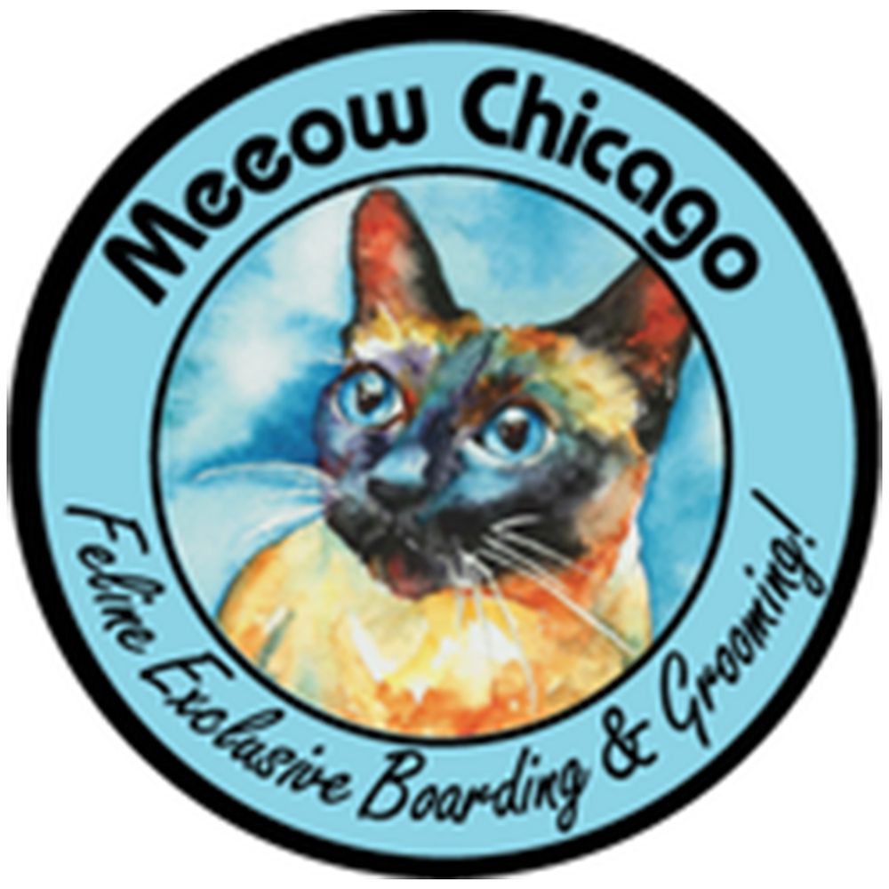 Meeow Chicago - Lincoln Park - pet boarding facility in Chicago, IL