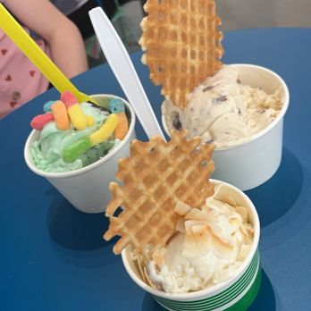 Gator Ice Cream - Desserts Near Me - Jacksonville Beach, Florida Gator Ice Cream - Desserts Near Me - Jacksonville Beach, Florida