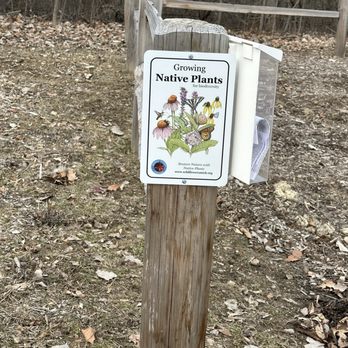 Dicken Woods Nature Area - Some information about native plants - Hiking Near Me Dicken Woods Nature Area - Some information about native plants - Hiking Near Me