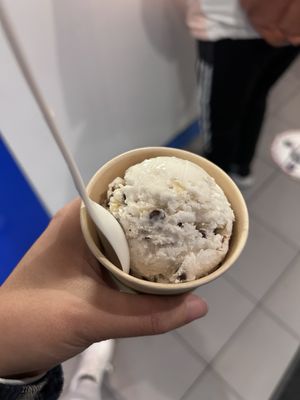 HUMPHRY SLOCOMBE Concord by null