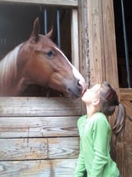 King Show Horses - equestrian in Snellville, GA