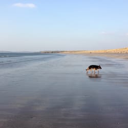 Rosses Point Beach