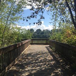 Tukwila Pond Park - The overlook near the northwest entrance provides a good view of the pond and its pollution.