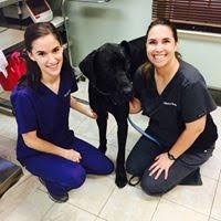 ヒロ・ヤマガタ VETERINARIAN HIROYAMAGATA l.jpg