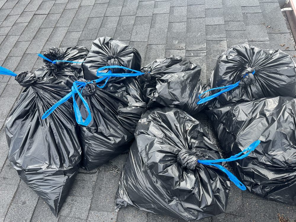 Slide of Arctic Eagle Property Maintenance