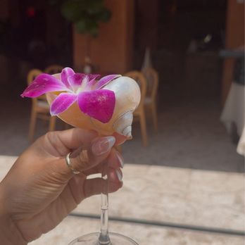 Marelle - so cute shell drinks which - New American Near Me - Santa Monica, California