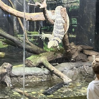 Riverside Reptiles Education Center - Zoos Near Me - Enfield, Connecticut Riverside Reptiles Education Center - Zoos Near Me - Enfield, Connecticut