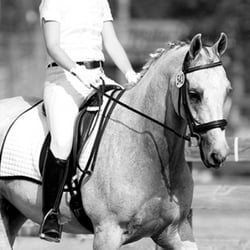 Whimsy Brook Farm Ltd