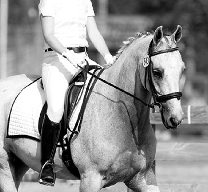 WHIMSY BROOK FARM LTD Updated June 2024 36 Photos 29 Giles Hill