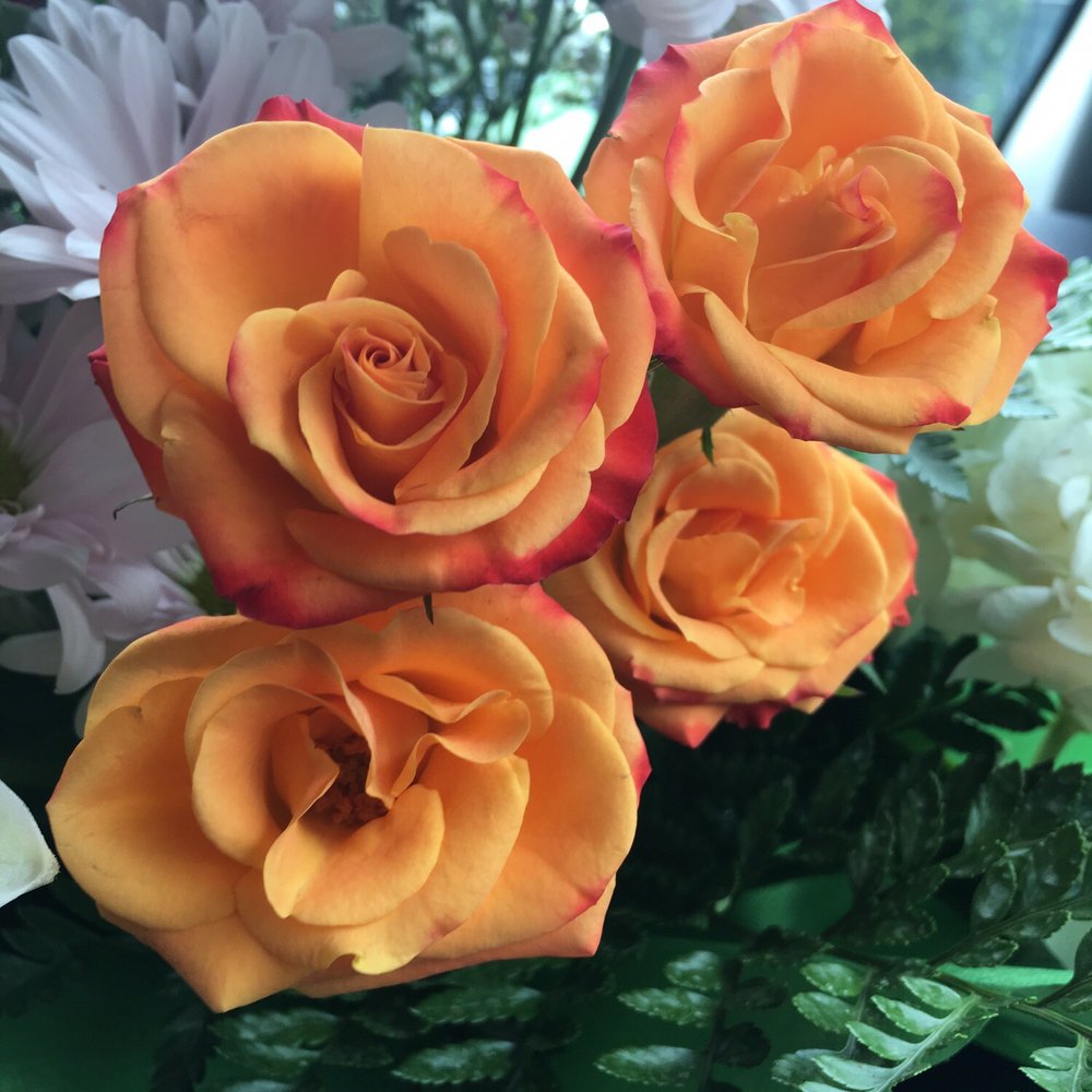 Nataly's Flowers - Amazing place. - Florists Near Me - Brooklyn, New York Nataly's Flowers - Amazing place. - Florists Near Me - Brooklyn, New York