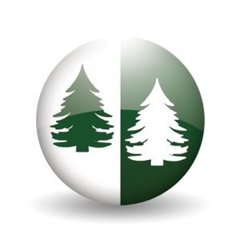 Green Guys - two pine trees on a white background - Landscape Architects or Designers Near Me - Catawissa, Missouri