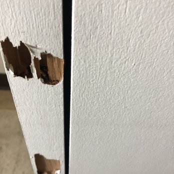 City Termite and Pest Control - Drywood termite damage - Pest Control Near Me - Kapolei, Hawaii City Termite and Pest Control - Drywood termite damage - Pest Control Near Me - Kapolei, Hawaii