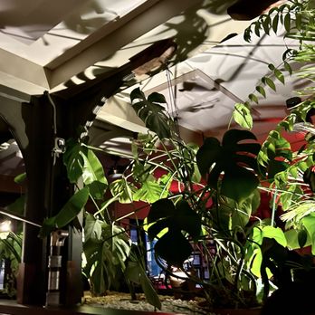 Sociale - Italian Near Me - New York, New York