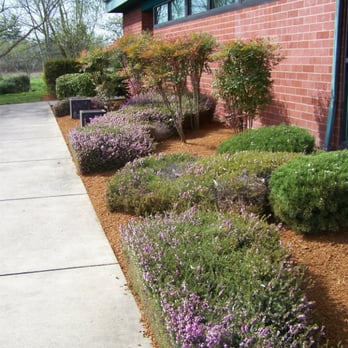Lakeside Environmental Landscape Maintenance - I would love the chance to maintain your commercial property!
Free Estimates! - Landscaping Near Me - Corvallis, Oregon Lakeside Environmental Landscape Maintenance - I would love the chance to maintain your commercial property!
Free Estimates! - Landscaping Near Me - Corvallis, Oregon
