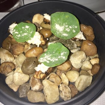 Zero Restaurant + Bar - New American Near Me - Charleston, South Carolina Zero Restaurant + Bar - New American Near Me - Charleston, South Carolina