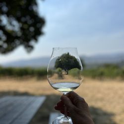 Willamette Valley Vineyards - Tualatin Estate