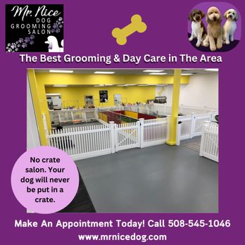 Mr Nice Dog Grooming Salon - Pet Groomers Near Me - Natick, Massachusetts Mr Nice Dog Grooming Salon - Pet Groomers Near Me - Natick, Massachusetts