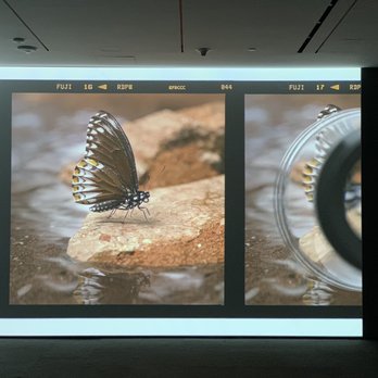 Hammer Museum - Museums Near Me - Los Angeles, California