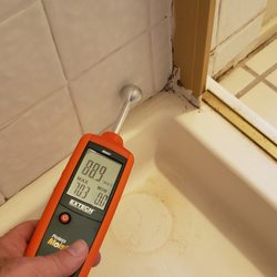 Discount Mold Removal Inspection and Testing