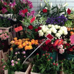 Blumen im S-Bahnhof Bellevue