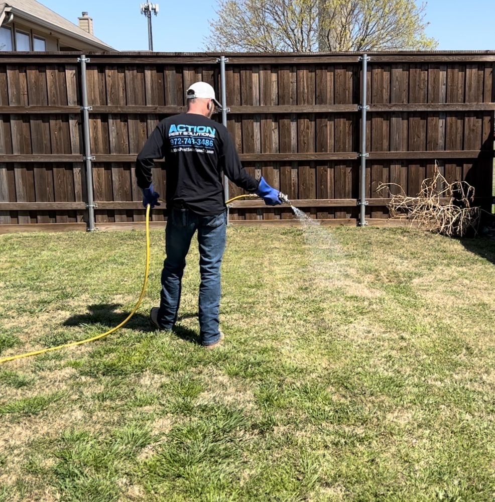 ACTION PEST SOLUTIONS Updated October 2024 Rockwall, Texas Pest