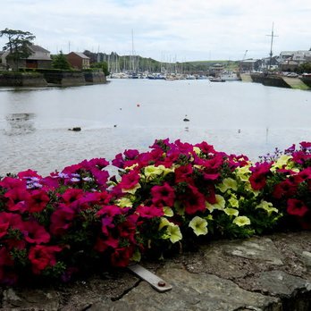 Dinos - Dino's - Kinsale Lunch with a view. - Seafood Near Me - Kinsale, Colorado Dinos - Dino's - Kinsale Lunch with a view. - Seafood Near Me - Kinsale, Colorado
