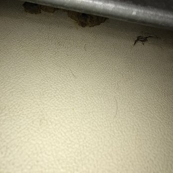 PetSmart - Dirty kennels - Pet Stores Near Me - Chicago, Illinois PetSmart - Dirty kennels - Pet Stores Near Me - Chicago, Illinois