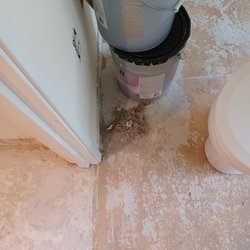 Libman Home Cleaning - What Golden Maid considers clean!