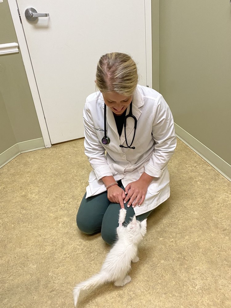 WEST FRIENDSHIP ANIMAL HOSPITAL Updated September 2024 34 Photos