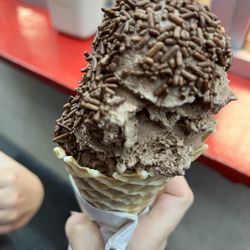 Bruster's Real Ice Cream - Chocolate ice cream cone with sprinkles