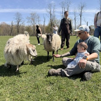 Clover Brooke Farm - Attraction Farms Near Me - Hyde Park, New York Clover Brooke Farm - Attraction Farms Near Me - Hyde Park, New York