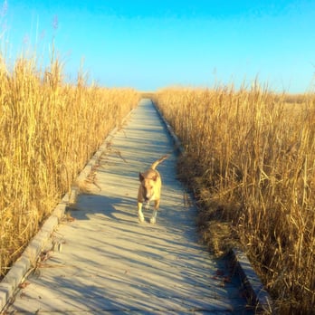 Prime Hook National Wildlife Refuge - Parks Near Me - Milton, Delaware