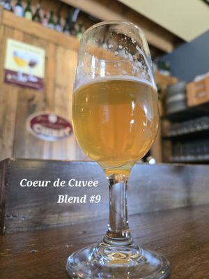 The Side Project Cellar by null