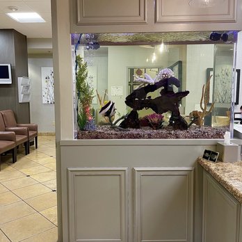 Children's Bone And Spine Surgery - Appointment setting area with a beautiful fish tank. - Orthopedists Near Me - Las Vegas, Nevada Children's Bone And Spine Surgery - Appointment setting area with a beautiful fish tank. - Orthopedists Near Me - Las Vegas, Nevada