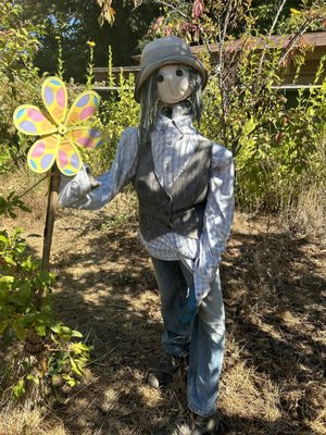 Luther Burbank Home & Gardens by null