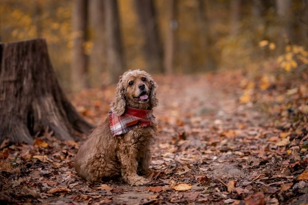 Fiorella Photography